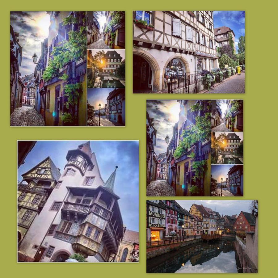 N¨°1 Schongauer Gite De Charme Centre Touristique Colmar Exterior foto